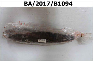 檢體編號:BA/2017/B1094